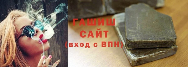 шишки Няндома