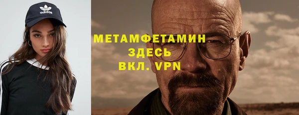 шишки Няндома