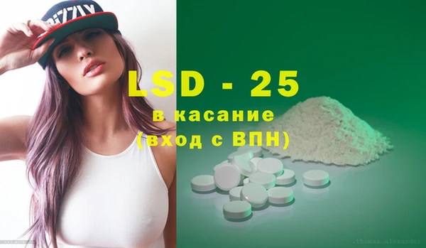 шишки Няндома