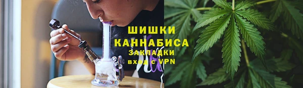 шишки Няндома
