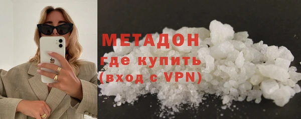 шишки Няндома