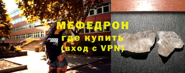 шишки Няндома