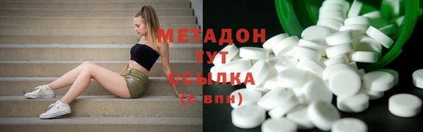 шишки Няндома