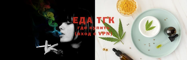 шишки Няндома