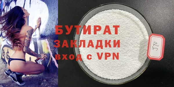 шишки Няндома