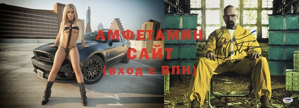 шишки Няндома