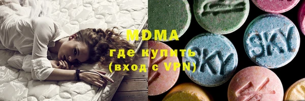 шишки Няндома