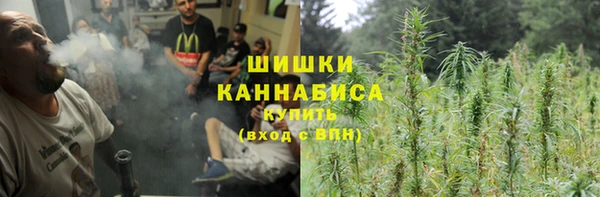 винт Нягань