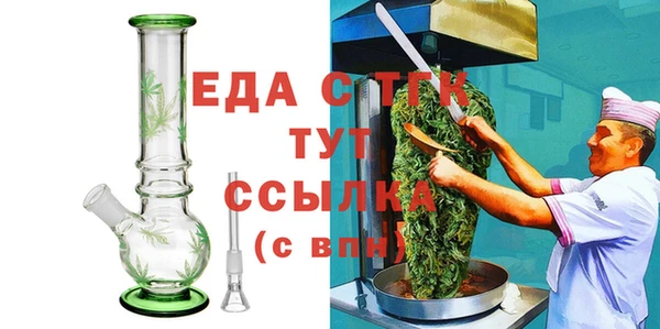 шишки Няндома