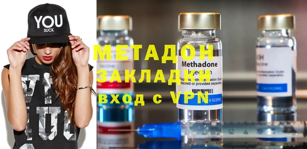 шишки Няндома