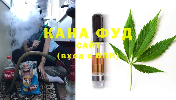 шишки Няндома