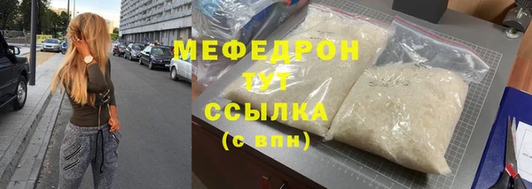 шишки Няндома