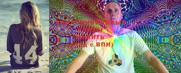 шишки Няндома