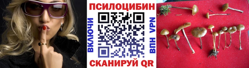 как найти   Армянск  Псилоцибиновые грибы прущие грибы 